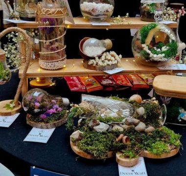 Команда ВХПУ №3 – на Junior EXPO